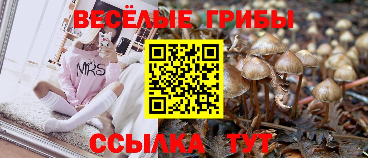 Псилоцибиновые грибы Magic Shrooms  Вход с VPN  Нурлат  Галлюциногенные грибы прущие грибы 